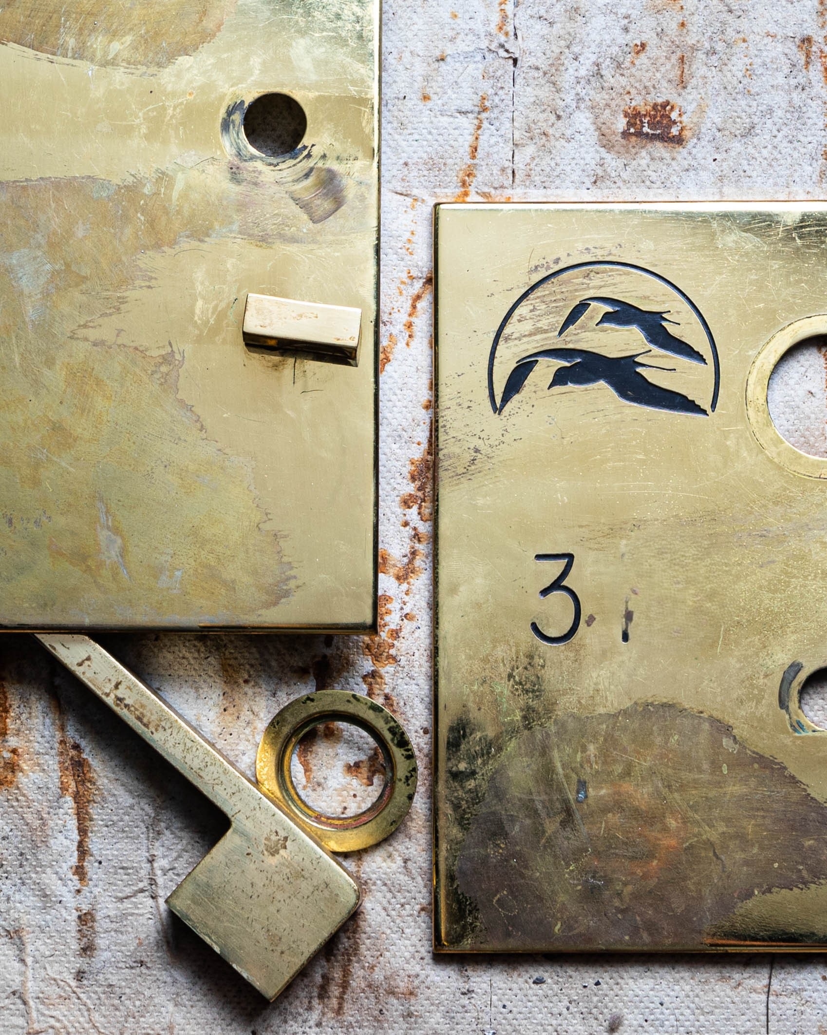Plaque et accessoires de porte avant restauration