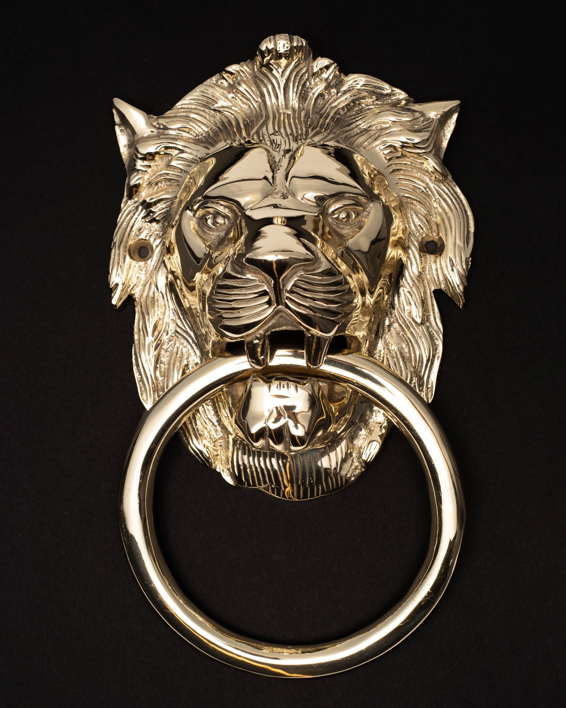 Heurtoir à tête de lion en laiton brillant